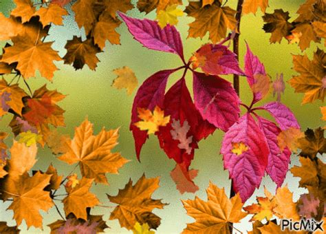 animated leaves falling gif|falling leaf clip art.